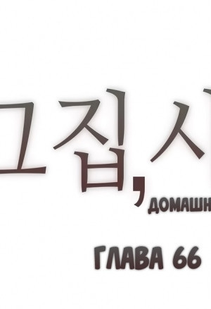 Домашние интрижки 66