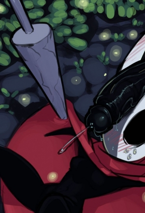 HOLLOW KNIGHT